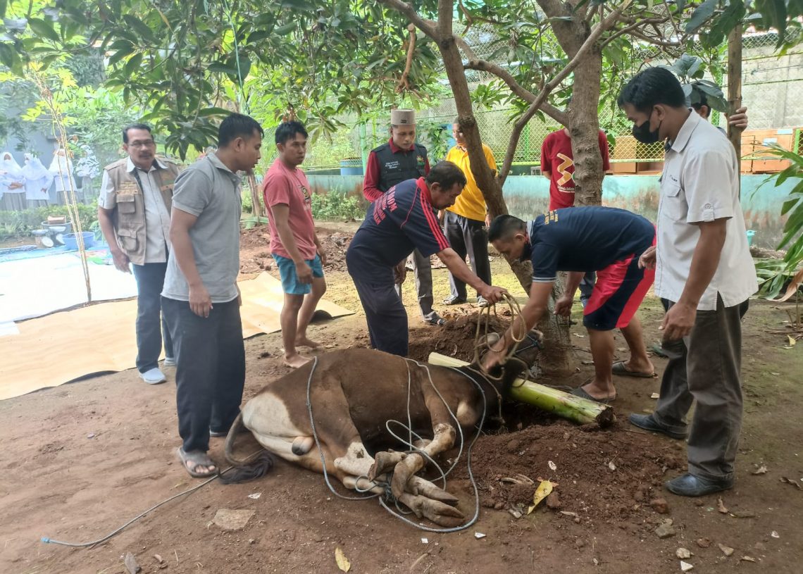 Sembelih 45 Hewan Qurban, Sekolah Islam Athirah Jadikan Wadah Edukasi Bagi Siswa