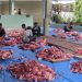 MUI Pusat Salurkan 10 Ekor Sapi dan 42 Ekor Domba Kurban kepada Masyakarat