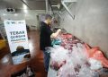 Daging Qurban Wahdah Inspirasi Zakat Bahagiakan Masyarakat Palestina