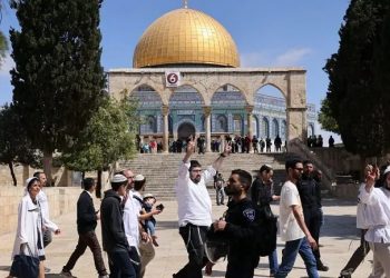 Dilindungi Pasukan Khusus, Pemukim Ilegal Yahudi Serbu Kompleks Masjidil Aqsha