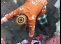 FUI Sulteng Kecam Ritual Tanam Kepala Sapi Pembangunan Masjid Raya Darussalam Palu