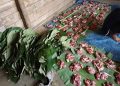 Cegah Resiko Kanker, Hindari Bungkus Daging dengan Kantong Plastik dan Pakai Daun Pisang