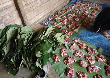 Cegah Resiko Kanker, Hindari Bungkus Daging dengan Kantong Plastik dan Pakai Daun Pisang