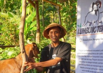 Lumbung Ternak BMH Mudahkan Qurban Hadirkan Pemberdayaan