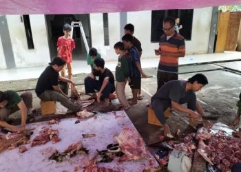 Santri Pondok Tahfidz Wahdah Islamiyah Cibinong Ikut Berkurban Sapi