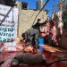 KITA Palestina Bersama WIZ Awali 2024 dengan Distribusikan Makanan ke Perbatasan Palestina
