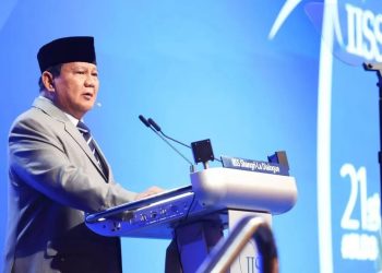 Prabowo Siap Kirimkan Pasukan Penjaga Perdamaian Dan Staf Medis Ke Gaza