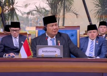 Presiden Prabowo Ajak Negara D-8 Dukung Perekonomian Palestina