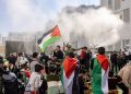 Ustadz Budi Ashari: Pemandangan Indah Atas Kemenangan Gaza