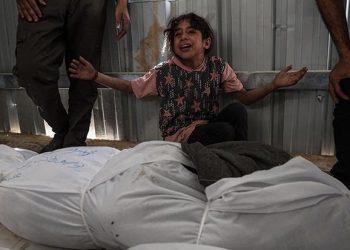 Korban Genosida di Gaza Bertambah Jadi 50.609 Syahid dan 115.063 Terluka