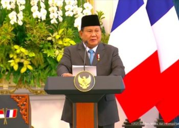 MUI Ingatkan Prabowo Soal Siap Akui Israel dengan Syarat Palestina Merdeka