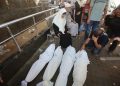 Hari ke-663 Genosida: Penjajah Israel Terus Membantai Warga Gaza di Tengah Bungkamnya Dunia