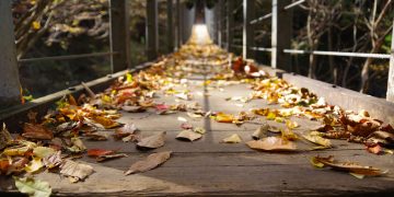 Mengapa Orang Gagal Berubah?