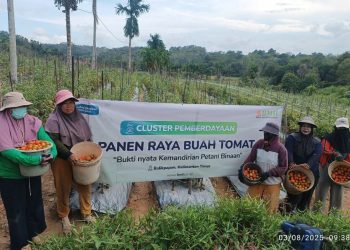 Kembangkan Potensi Lokal, Laznas BMH Hadirkan Harapan Baru untuk Petani Balikpapan