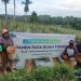 Kembangkan Potensi Lokal, Laznas BMH Hadirkan Harapan Baru untuk Petani Balikpapan