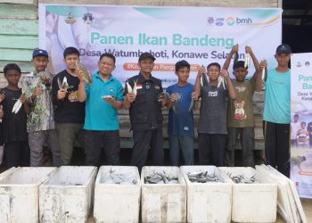 Memanen Asa, Mengisi Gizi Santri: Kisah Inspiratif Ketahanan Pangan BMH dari Konawe Selatan