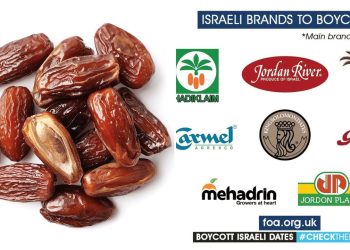 Jelang Ramadhan, MUI Ajak Umat Boikot Kurma Penjajah Israel! Ini Mereknya