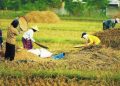 Krisis Global, Ujian Nyata Kedaulatan Pangan Nasional