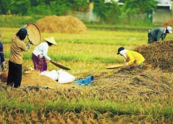 Krisis Global, Ujian Nyata Kedaulatan Pangan Nasional
