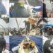 Penjajah Israel Cegat Armada Sumud Flotilla, UBN Desak RI Tempuh Diplomasi Darurat