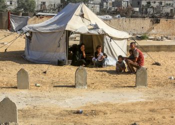 UNRWA Menyatakan Tikus Menggigit Anak-Anak Gaza di Malam Hari di Tenda Pengungsian Mereka