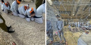 Kesaksian Jurnalis Gaza: Dipukuli, Dirantai, hingga Ditolak Berobat di Penjara Israel
