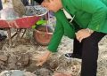 PD Mathla’ul Anwar Maros Bangun Masjid, Siap Jadi Pusat Kegiatan Dakwah dan Pendidikan Al-Qur’an