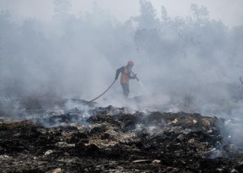 MUI Serukan Umat Islam Gelar Shalat Istisqa’ untuk Atasi Kekeringan dan Karhutla
