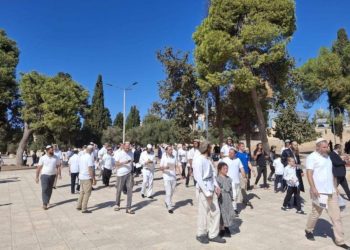 Sekitar 1.500 Pemukim Yahudi Serbu Kompleks Masjidil Aqsa pada Hari Kedua Sukkot